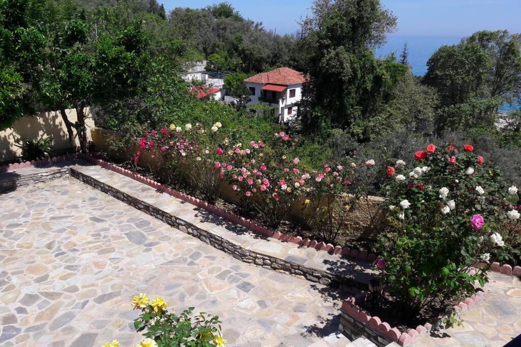 Eleni'S House Chorefto Загора Экстерьер фото